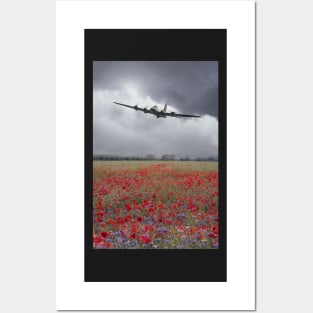 B17 Poppy Pride Posters and Art